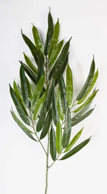 Produktbild von artplants.de Kunst Longifoliazweig NILAY, 35 grüne Blätter, Deluxe, schwer entflammbar, 65cm - Kunstpflanze - Zweig künstlich