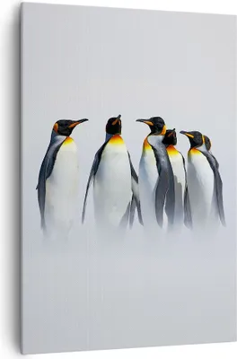 Produktbild von Bild auf Leinwand - Leinwandbild - Einteilig - Pinguine Winter Schnee Spaziergang - 70x100cm - Wand Bild - Wandbilder - Leinwanddruck - Wanddekoration - Leinwand bilder - Wandbild - PA70x100-2893
