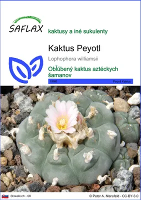 Produktbild von SAFLAX - Kaktus Peyotl - Lophophora williamsii - 20 Semená