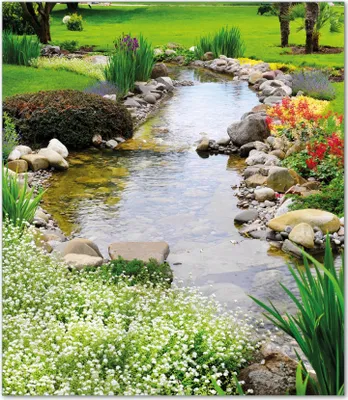 Produktbild von Wallario Herdabdeckplatte aus Glas, Größe 52 x 60 cm 1-teilig, Motiv Blumen am Teich