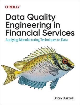 Produktbild von Datenqualitätstechnik in Finanzdienstleistungen