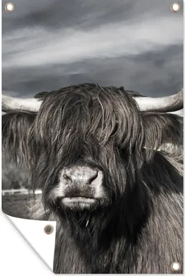 Produktbild von MuchoWow® 40x60 cm Outdoor-Poster Gartendeko Sichtschutz Garten Poster für den Garten  Schottischer Highlander - Tiere - Hörner