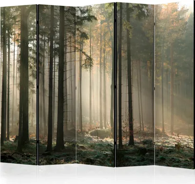 Obrázek produktu pro Paraván jednostranný Krajiny 225x172 cm 5dílný zelený
