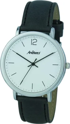 Obrázok produktu pre Zegarki Arabians HBA2248N