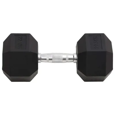 Produktbild von vidaXL Kurzhantel 22,5 kg Gusseisen