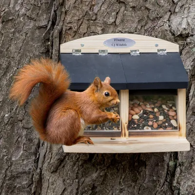 Produktbild von CJ Wildlife Eichhörnchen Futterhaus - Victoria Doppelausführung - Holz ( 100%) 24 x 21,5 x 21 cm - 2 x 700 g - Braun - für zwei Futtersorten
