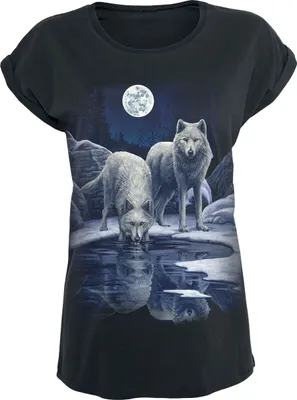 Produktbild von Spiral T-Shirt Damen Warriors of Winter schwarz Gothic, Rockwear 100% Baumwolle M