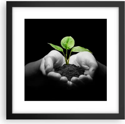 Produktbild von Gerahmtes Poster - Schwarzer Rahmen - Natur Pflanze Wissenschaft Schutz - 30x30 cm - Wand Bild - Wanddeko - Wandbilder - Wandposter - Bilderrahmen - Bilder - Kunstdruck - Wandbild - P2BAC30x30-2188