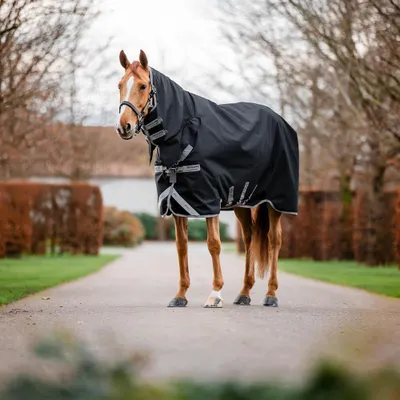 Produktbild von Horseware Weidedecke in Größe 115 - Amigo 1200D integrated Turnout 0g - Black/Titanium Grey/Silver