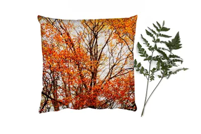 Produktbild von MuchoWow® Zierkissen Sofakissen Wohnzimmer Dekokissen 60x60 cm Wald - Herbst - Jahreszeiten - Sitzfläche - Foto Polster