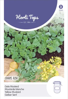 Produktbild von Gelbsenf | Kräutersamen von Hortitops