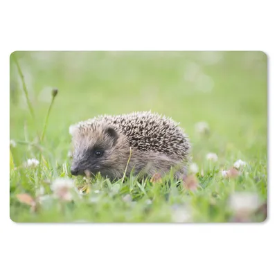 Produktbild von MuchoWow® Mauspad Mousepad Kleiner Igel im Gras 27x18 cm - Mousepads - Maus Mat - Pad - Mausunterlage - Büroartikel - Desk Matten