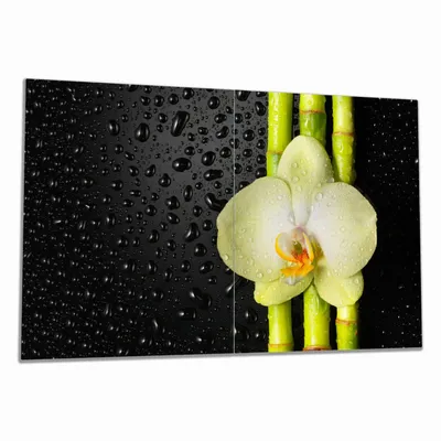 Produktbild von Wallario Herdabdeckplatte aus Glas, Größe 80 x 52 cm 2-teilig, Motiv Grüne Orchidee mit Bambus auf schwarz - Regentropfen