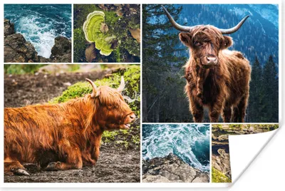 Produktbild von MuchoWow® Poster Schottischer Highlander - Berg - Meer 180x120 cm - Fotoplakat