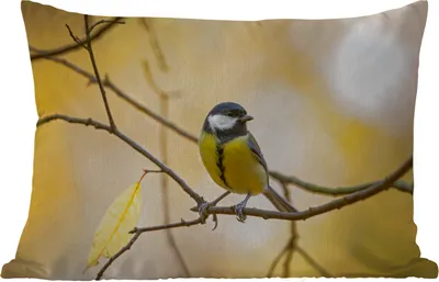 Produktbild von MuchoWow® Outdoor Kissen - Kohlmeise - Zweig - Vogel - Tiere - 50x30 cm - Wetterfest - Lounge Kissen - Sofa kissen - Wohnzimmer Dekoration