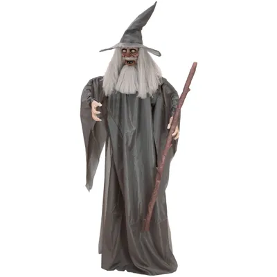 Zdjęcie produktu dla EUROPALMS Halloweenowa figurka czarodzieja, animowana 190 cm (83316110)