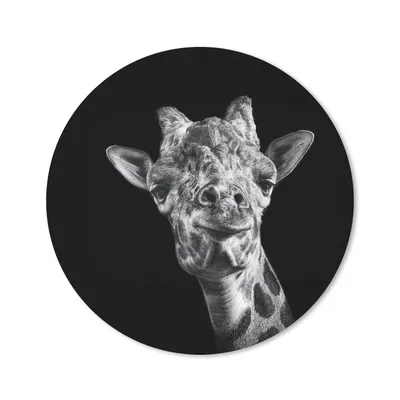 Produktbild von MuchoWow® Mauspad Mousepad Giraffe vor schwarzem Hintergrund in schwarz und weiß 40x40 cm - Mousepads - Maus Mat - Pad - Mausunterlage - Schreibtisch Accessoires
