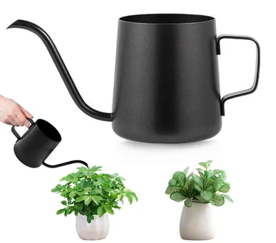 Gießkanne 250 ml, schwarz, Edelstahl, für kleine Zimmerpflanzen
