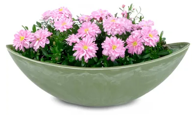 Produktbild von Große Pflanzschale oval 39 cm für draussen Dekoschale grün