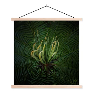 Produktbild von MuchoWow® Textilposter Eine blühende Cycad-Pflanze auf schwarzem Hintergrund 40x40 cm mit holzfarbenen Rahmen - Posterleiste