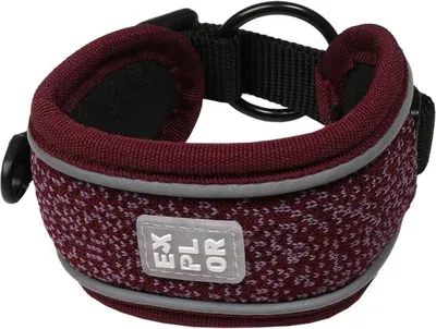 Produktbild von Duvoplus EXPLOR Ultimate Fit Control Halsband Fashion - plum purple - L - 45-51cm