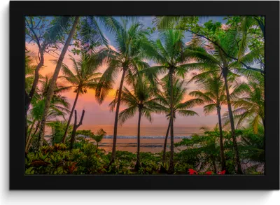Produktbild von MuchoWow® MuchoWow® Gerahmtes Poster Palme - Tropisch - Meer 30x20 cm - Poster mit zchwarzem Bilderrahmen - Kunstdruck - Bild-Poster