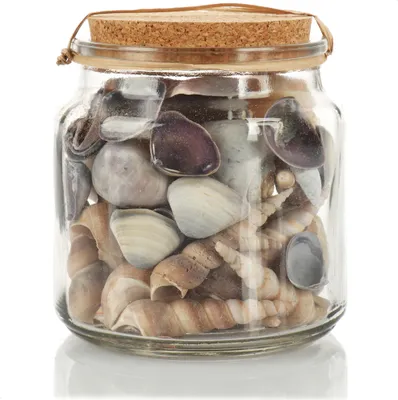 Produktbild von com-four® Deko-Muscheln - Glas gefüllt mit schönen Muscheln - maritime Dekoartikel im Glas für Meeresfeeling