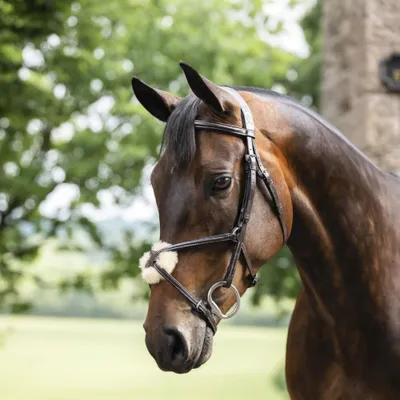 Produktbild von Horseware Micklem Figure 8 Trense mit mexikanischem Reithalfter