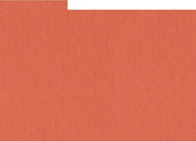 Immagine prodotto di HNFD 20 divisori per scatole fotografiche Corallo per scatole fotografiche 10x15 cm