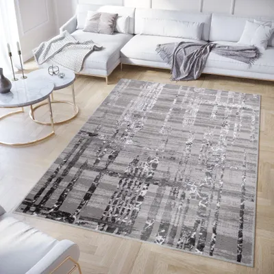 Image de Tapis Crystal Moderne Gris foncé Salon 300 x 400 cm