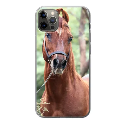 Produktbild von MuchoWow® Handyhülle Schutzhülle Hülle für iPhone 12 Pro Max Pferd - Wald - Halfter Silikon Softcase Handy Hülle - Hartschale