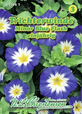 Immagine prodotto di "Trichterwinde Minor Blue Flash" | Semi di "Trichterwinde Minor Blue Flash" di N.L. Chrestensen