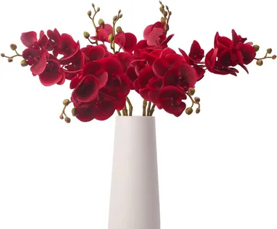Productafbeelding van Kunstorchidee Vlinder - Zijde Bloemen - Decoratie Huis - Echte Touch - 78 cm Lengte - Rood