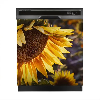 Produktbild von Aufkleber sticker 60x60 cm Dekorative folie Spülmaschine - Gelb Sonnenblume