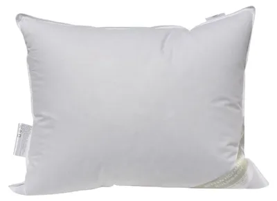 Produktbild von Betten Hofmann Kopfkissen 50x60 Kissen Federkissen 600 g prall 30% Daunen