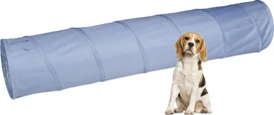 Produktbild von Relaxdays Hundetunnel, Spieltunnel für aktive Hunde, Hundetraining, 200 cm lang, Ø 40 cm, faltbarer Agilitytunnel, grau