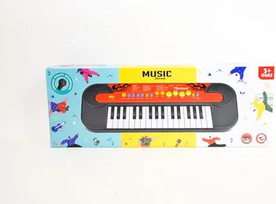 Image de Orgue avec microphone HS3226A HS-3228A 13360