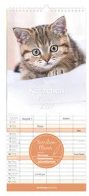 Obrázek produktu pro Koťátka 2027