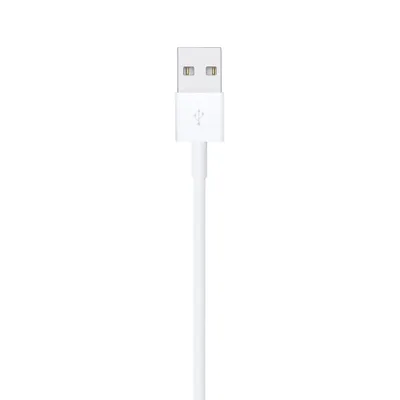 Obrázok produktu pre Apple MUQW3ZM/A, 1 m, Lightning, USB A, Samec, Samec, Biela