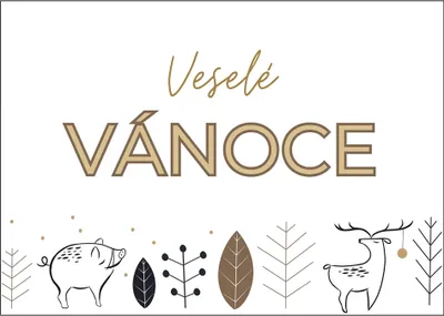 Obrázok produktu pre veselý divočák