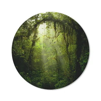 Produktbild von MuchoWow® Mauspad Mousepad Grün getöntes Bild des Regenwaldes von Costa Rica 30x30 cm - Mousepads - Maus Mat - Pad - Mausunterlage - Tischunterlage - Schreibtischmatten