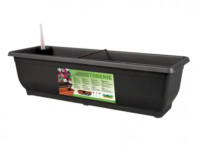 Immagine prodotto di Nohel Garden Torenia autoinnaffiante in plastica opaca da 60 cm