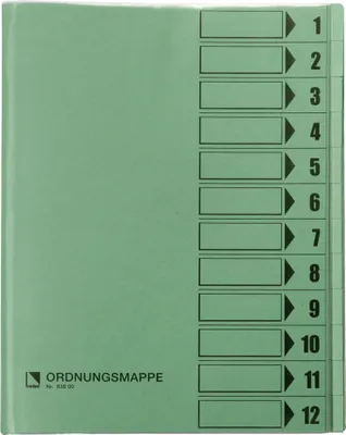 Produktbild von Bene Ordnungsmappe 083800GN DIN A4 12Fächer PVC grün