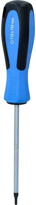 Image de BRILLIANT TOOLS Tournevis TORX T10 x 100 mm - BT031043