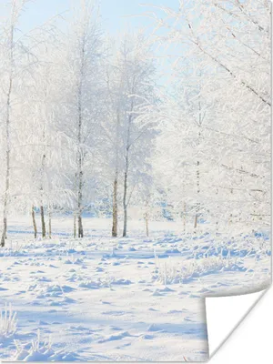 Produktbild von MuchoWow® Poster Schnee - Bäume - Winter 120x160 cm - Wandbilder