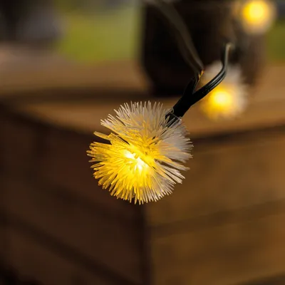 Produktbild von esotec Solar Deko-Lichterkette mit 30 Pusteblumen Blumen wetterfest 102185