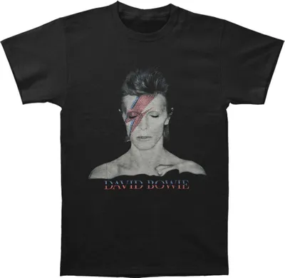 Image de David Bowie - "Aladdin Sane" T-shirt homme/femme unie RO1727 (L) (Noir)