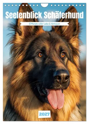 Produktbild von Seelenblick Schäferhund (Wandkalender 2027 DIN A4 hoch), CALVENDO Monatskalender