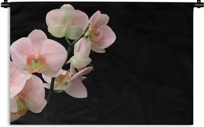 Produktbild von MuchoWow® Wandteppich Wandbehang Orchidee - Blumen - Rosa - Stilleben - Flora 150x100 cm Tapisserie Dekoration Wandtuch - Waschbar - Tapisserien - Wand-Decke