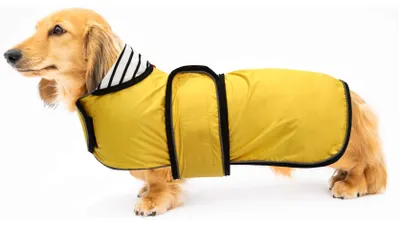 Produktbild von Verstellbare, leichte Hundejacke für Dackel mit reflektierenden Bändern